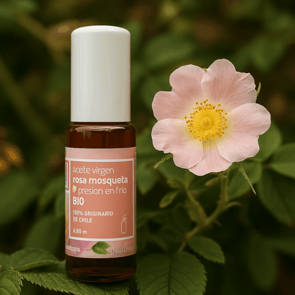 Rosa mosqueta BIO