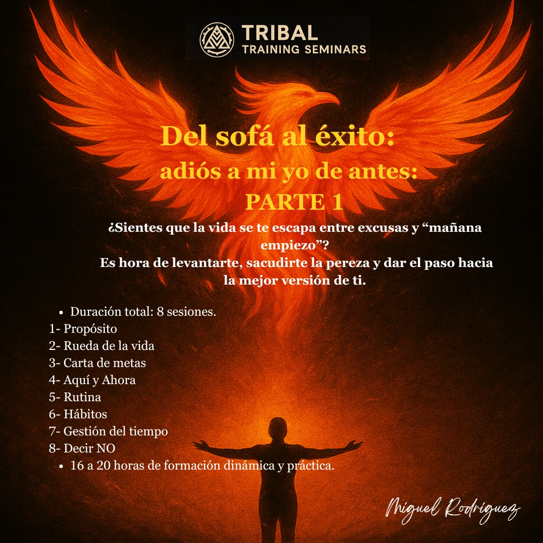 Del sofá al éxito – Parte 1